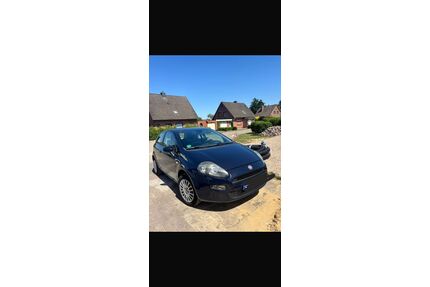 Fiat Punto Gebrauchtwagen