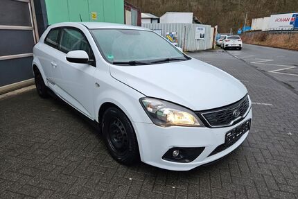Kia ceed / Ceed Gebrauchtwagen