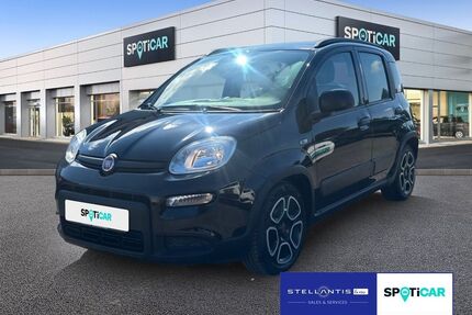 Fiat Panda Gebrauchtwagen