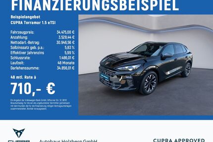 Cupra Terramar Gebrauchtwagen