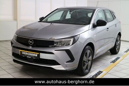 Opel Grandland (X) Gebrauchtwagen