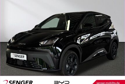 BYD DOLPHIN SURF Gebrauchtwagen