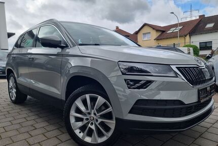 Skoda Karoq Gebrauchtwagen