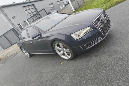 Audi A8 Gebrauchtwagen