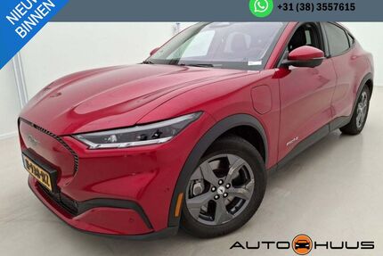 Ford Mustang Mach-E Gebrauchtwagen