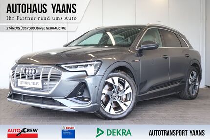Audi e-tron Gebrauchtwagen