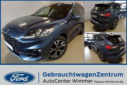 Ford Kuga Gebrauchtwagen