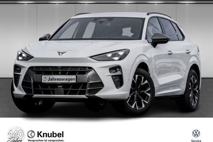 Cupra Terramar Gebrauchtwagen