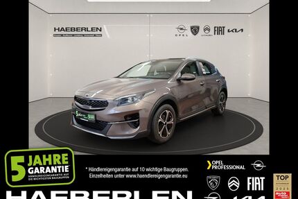 Kia XCeed Gebrauchtwagen