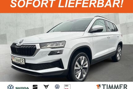 Skoda Karoq Gebrauchtwagen