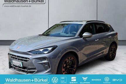 Cupra Terramar Gebrauchtwagen