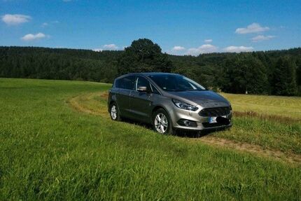 Ford S-Max Gebrauchtwagen