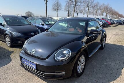 VW Beetle Gebrauchtwagen