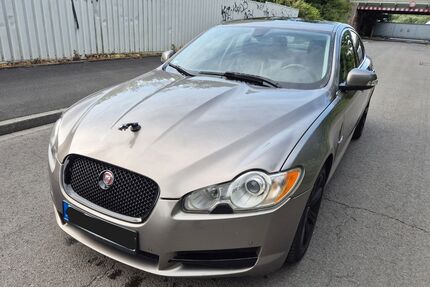 Jaguar XF Gebrauchtwagen