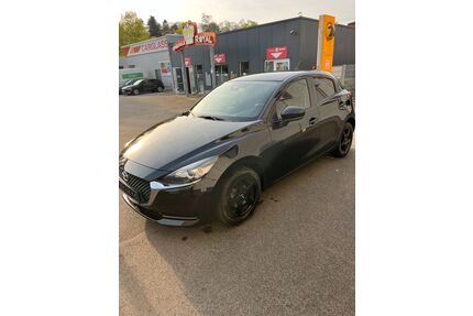 Mazda 2 Gebrauchtwagen