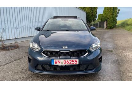 Kia ceed / Ceed Gebrauchtwagen