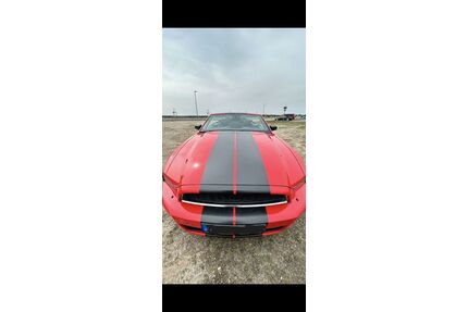 Ford Mustang Gebrauchtwagen