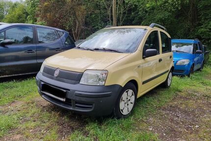 Fiat Panda Gebrauchtwagen