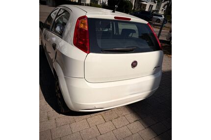Fiat Punto Gebrauchtwagen