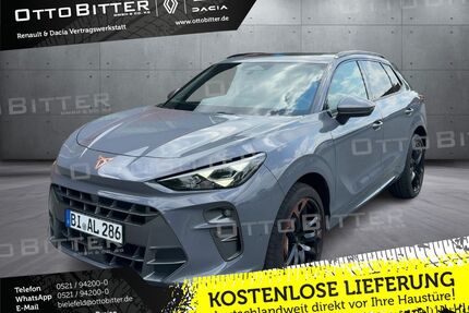 Cupra Terramar Gebrauchtwagen