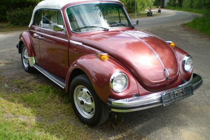VW Käfer Gebrauchtwagen