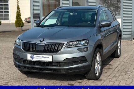 Skoda Karoq Gebrauchtwagen