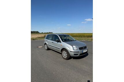 Ford Fusion Gebrauchtwagen