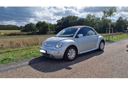 VW Beetle Gebrauchtwagen