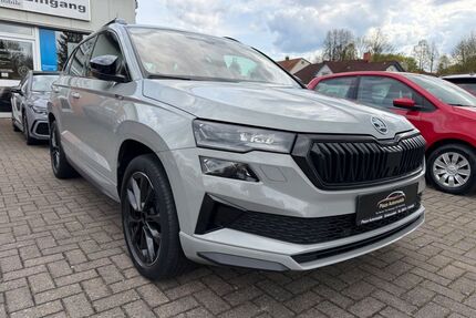 Skoda Karoq Gebrauchtwagen