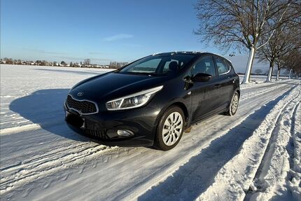 Kia ceed / Ceed Gebrauchtwagen