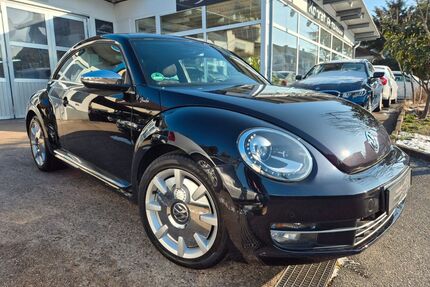 VW Beetle Gebrauchtwagen