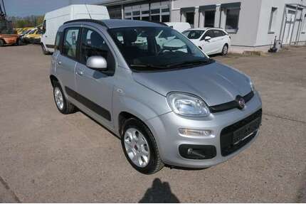 Fiat Panda Gebrauchtwagen