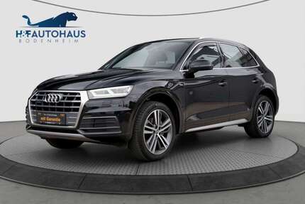 Audi Q5 Gebrauchtwagen