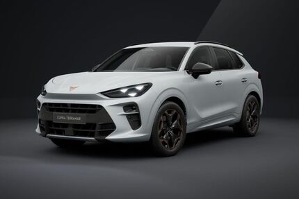 Cupra Terramar Gebrauchtwagen
