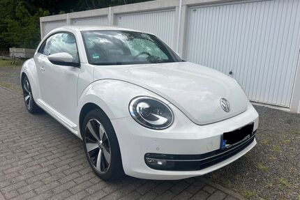 VW Beetle Gebrauchtwagen