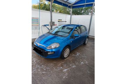Fiat Punto Gebrauchtwagen