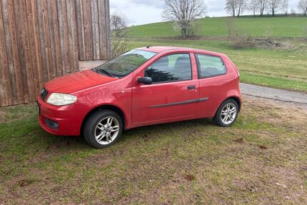Fiat Punto Gebrauchtwagen