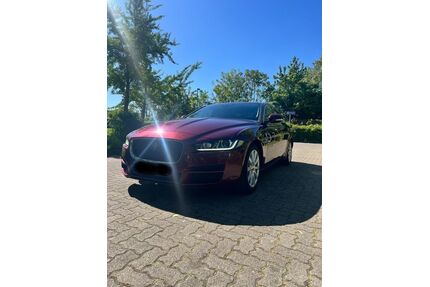 Jaguar XE Gebrauchtwagen