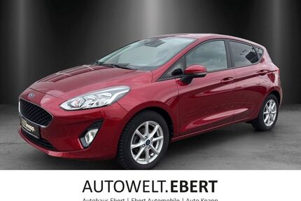 Ford Fiesta Gebrauchtwagen