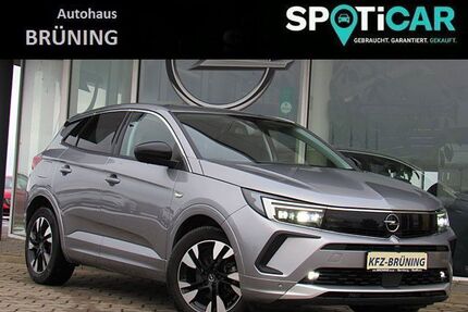 Opel Grandland (X) Gebrauchtwagen