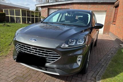Ford Kuga Gebrauchtwagen