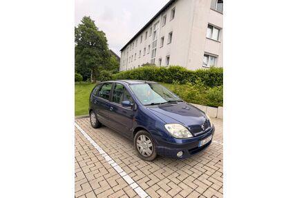 Renault Scenic Gebrauchtwagen