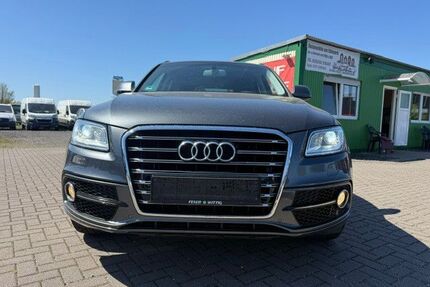 Audi Q5 Gebrauchtwagen