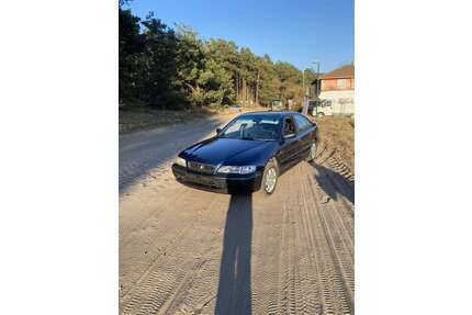Honda Accord Gebrauchtwagen