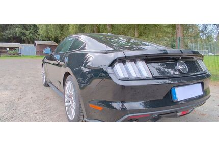 Ford Mustang Gebrauchtwagen