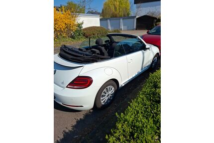 VW Beetle Gebrauchtwagen