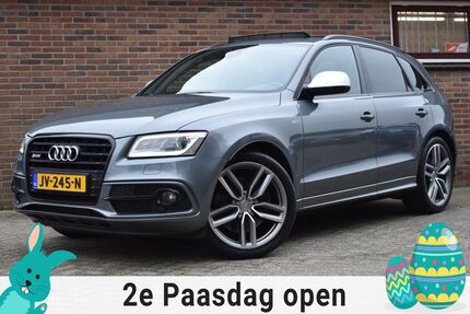 Audi SQ5 Gebrauchtwagen