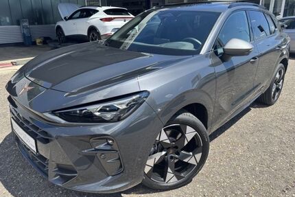 Cupra Terramar Gebrauchtwagen