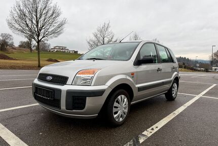 Ford Fusion Gebrauchtwagen