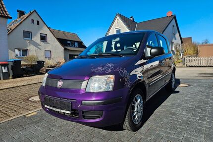 Fiat Panda Gebrauchtwagen